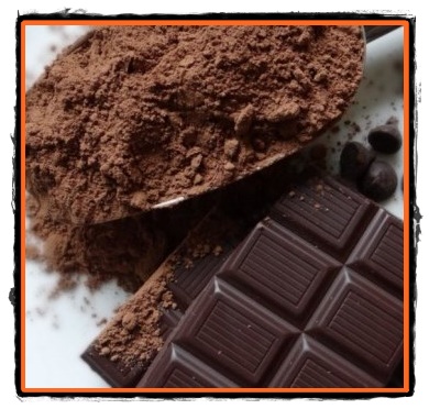 Despre cacao si ciocolata un tonic excelent